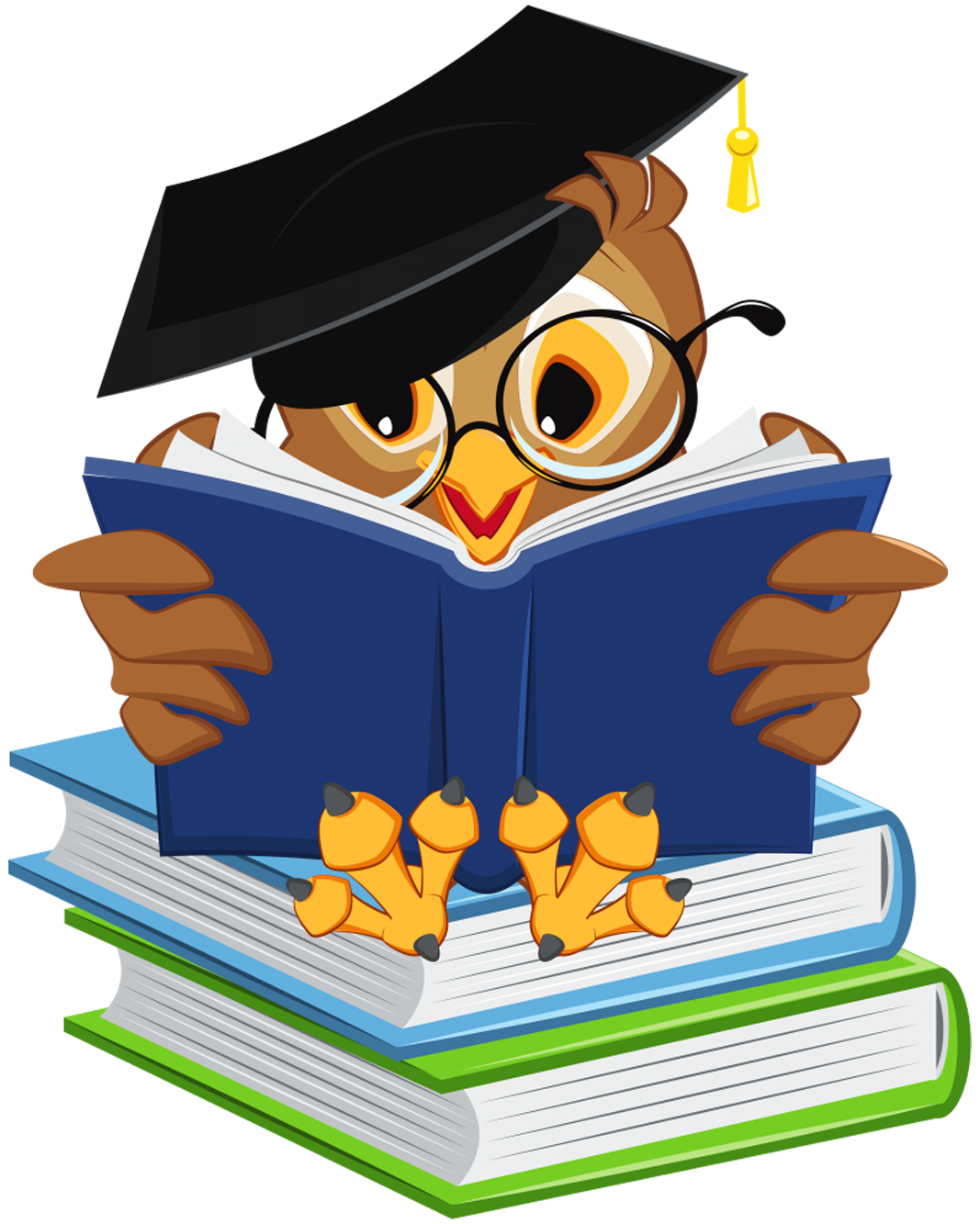 Дайджест ПФР: вопросы и ответы