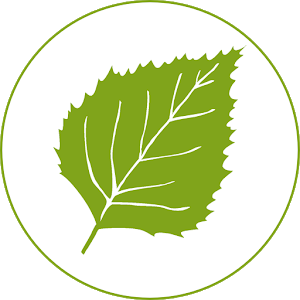 Фоторепортаж ПФР: сделали город чище