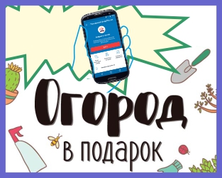 «Огород в подарок»: мобильное приложение ПФР презентуют для дачников и садоводов