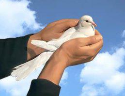 День социального работника - главный профессиональный праздник Пенсионного фонда