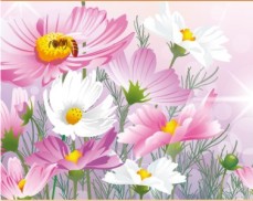 С праздником Весны, милые женщины!