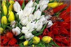 Брянскому  Отделению ПФР – 24 года