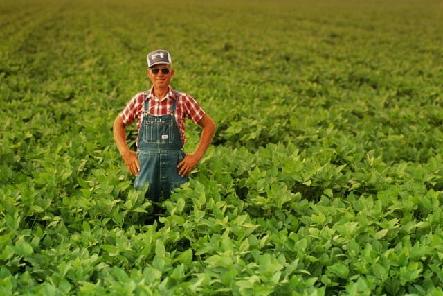 Об уплате страховых взносов  главами крестьянских (фермерских) хозяйств  в 2015 году.