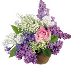 Поздравляем с профессиональным праздником – Днем социального работника!