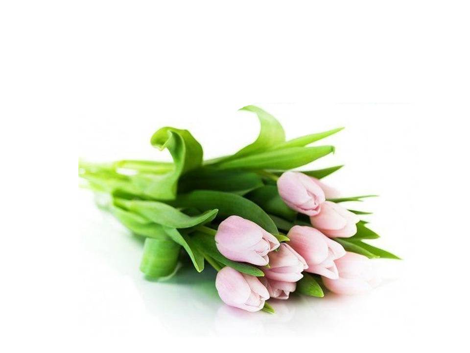 Государственная поддержка материнства