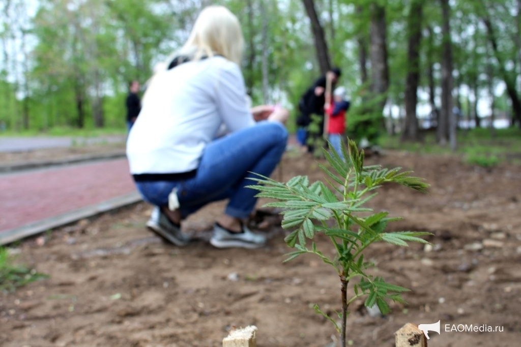 Аллея журналистов и пиарщиков ЕАО