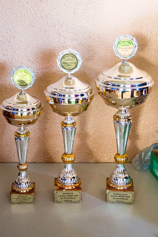 Кубок по волейболу Пенсионного фонда РФ по ЕАО