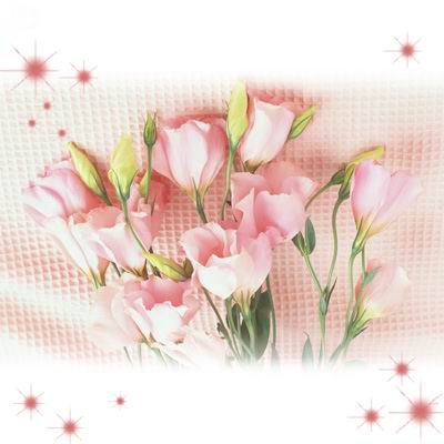 Среди пенсионеров Иркутской области 33 570 Валентинов и Валентин