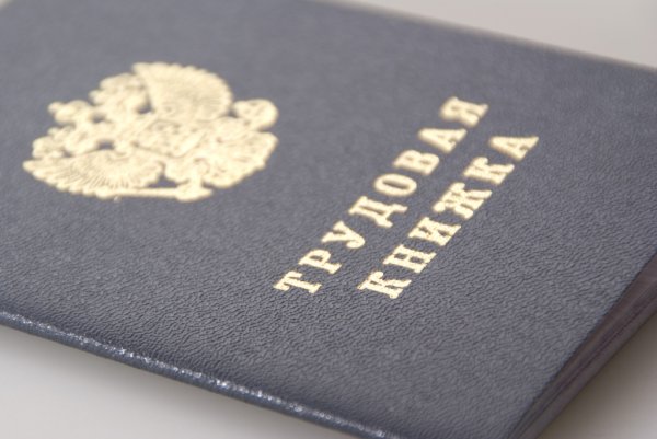 Почти 50 тысяч калужан выбрали электронную трудовую книжку