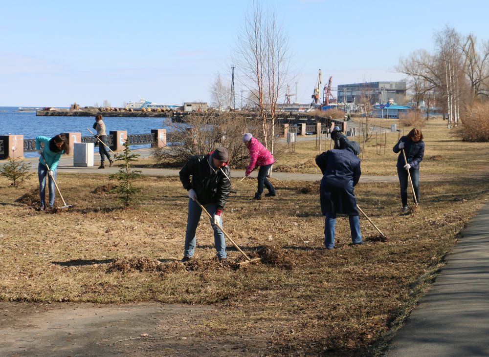 Березовая аллея Пенсионного фонда