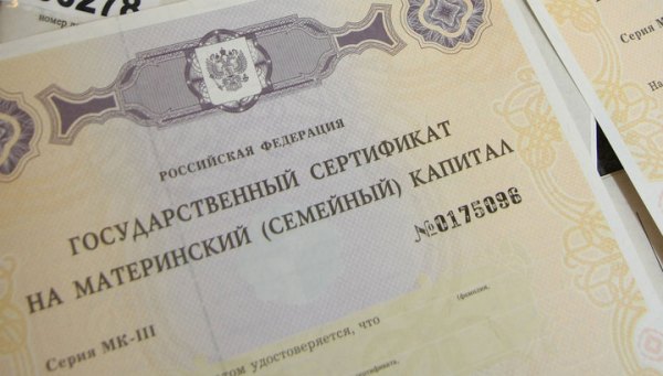 В 2016 году материнский капитал можно будет направить на социальную адаптацию и интеграцию в общество детей-инвалидов