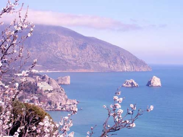 Поздравляем с 8 Марта!