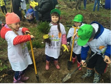 В Подмосковье в акции «Наш лес. Посади своё дерево» приняли участие представители ПФР  