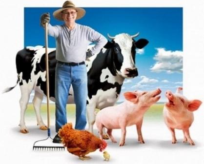 До 1 марта 2017 года крестьянские (фермерские) хозяйства Москвы и Московской области должны отчитаться за 2016 год