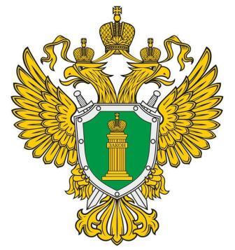 Главное управление ПФР №7 по Москве и Московской области вскрыло факты покушения на мошенничество  с материнским капиталом, возбуждены уголовные дела