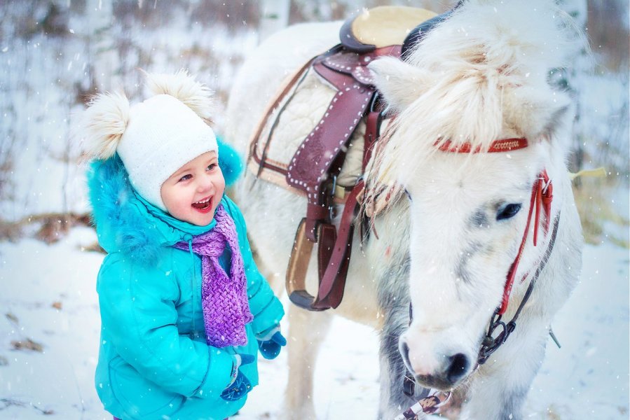 Материнский капитал на оплату детского сада и яслей, а также школьного и вузовского образования