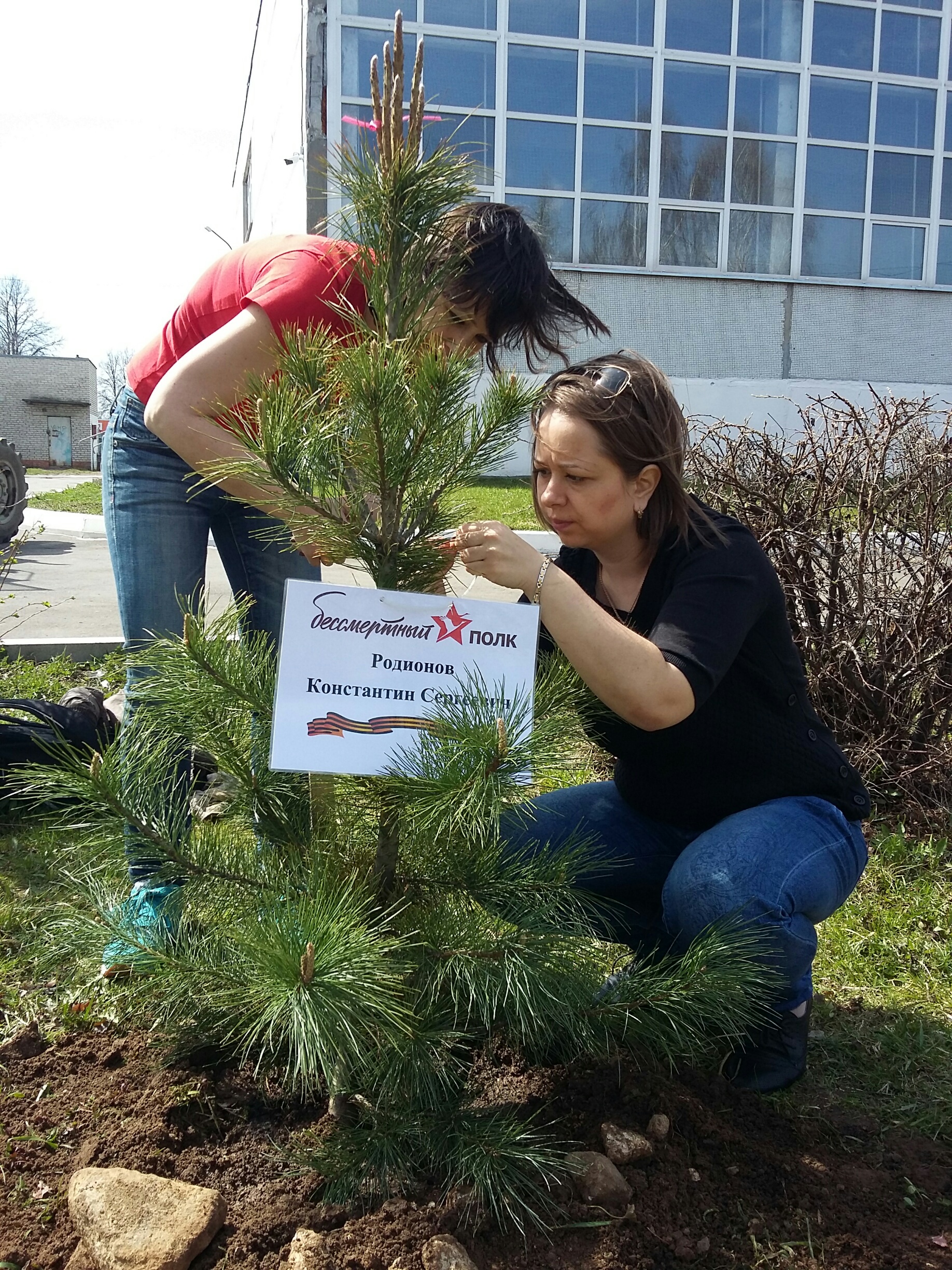 В Раменском сотрудники Управления ПФР №15 приняли участие в акции «Лес Победы»