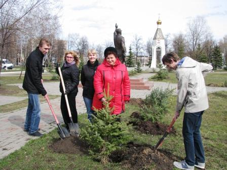 70 молодых елей на Аллее славы города Ступино -  в честь 70-летия Великой Победы
