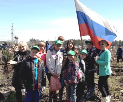 Сотрудники Управления ПФР в г. Наро-Фоминске приняли участие в акции «Лес Победы»