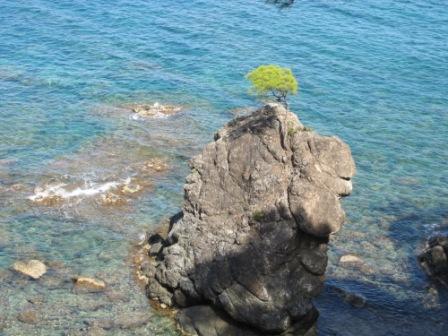 В Главном управлении ПФР №5 открыли фотовыставку «Мир глазами женщины»