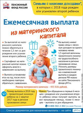 Инфографика: ежемесячная выплата из материнского капитала
