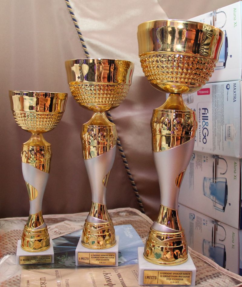 В Орле прошел IV чемпионат по компьютерному многоборью среди пенсионеров