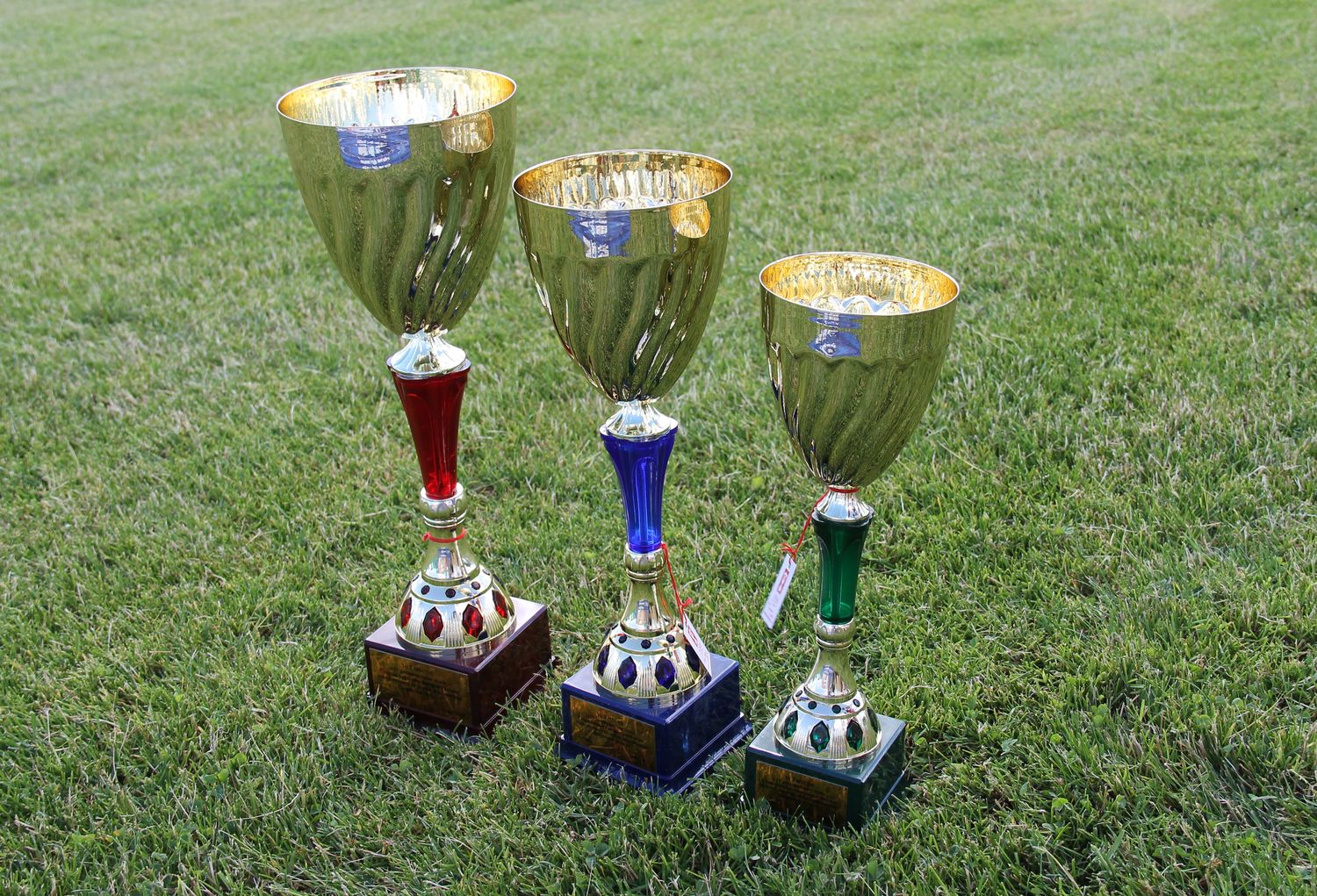 В Орле состоялся региональный этап IV Спартакиады пенсионеров России 