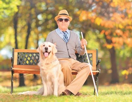 До 1 октября федеральные льготники могут сделать свой выбор