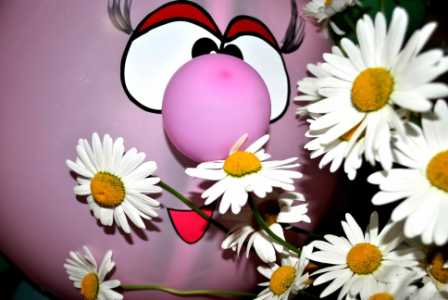 О материнском капитале - в День семьи, любви и верности!