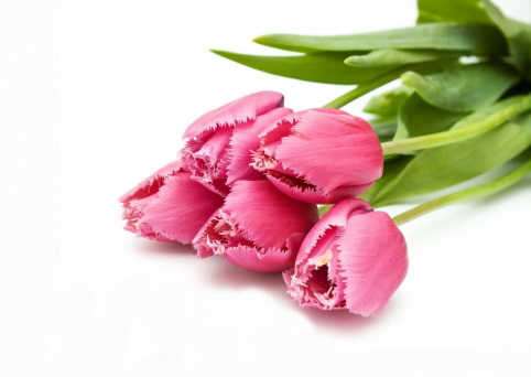 Поздравление с  Международным женским днем