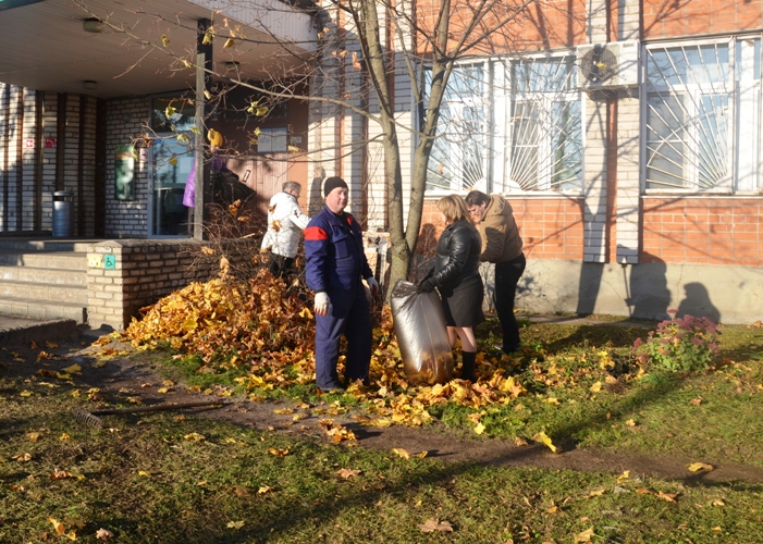 Сотрудники Отдела ПФР в Красногородском районе приняли участие в благоустройстве поселка