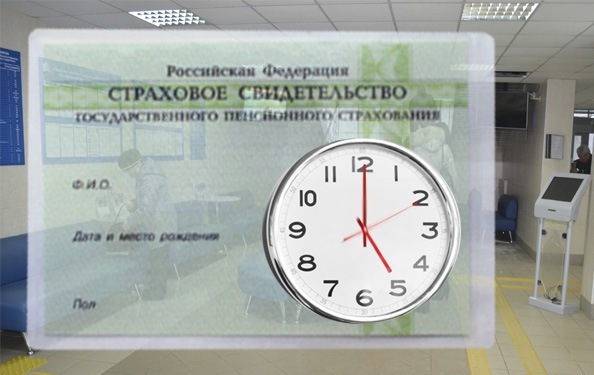 СНИЛС теперь можно оформить в течение 2 минут!