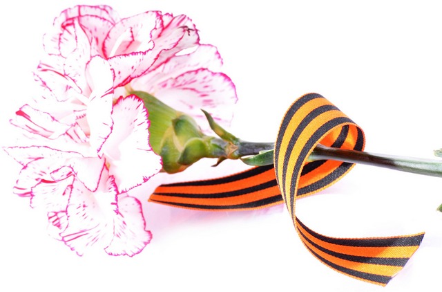 Управление в Старожиловском районе приняло участие в памятных мероприятиях ко Дню Победы 