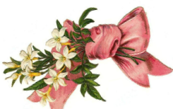 Репортаж о праздновании 8 марта в Управлении ПФР в Клепиковском районе 