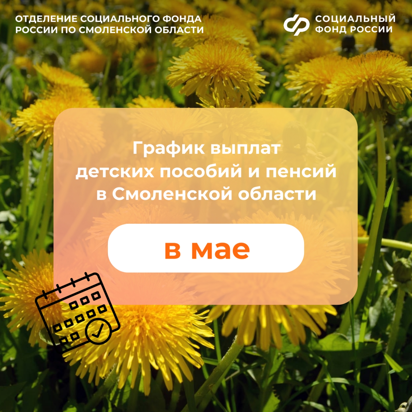 Отделение СФР по Смоленской области досрочно перечислит пенсии и детские пособия в связи с майскими праздниками