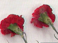 В 2016 году Отделением ПФР по Смоленской области правопреемникам выплачено 28,2 млн. рублей средств пенсионных накоплений