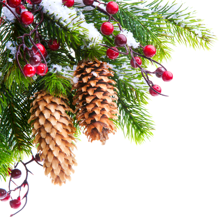 С наступающим Новым годом и Рождеством Христовым