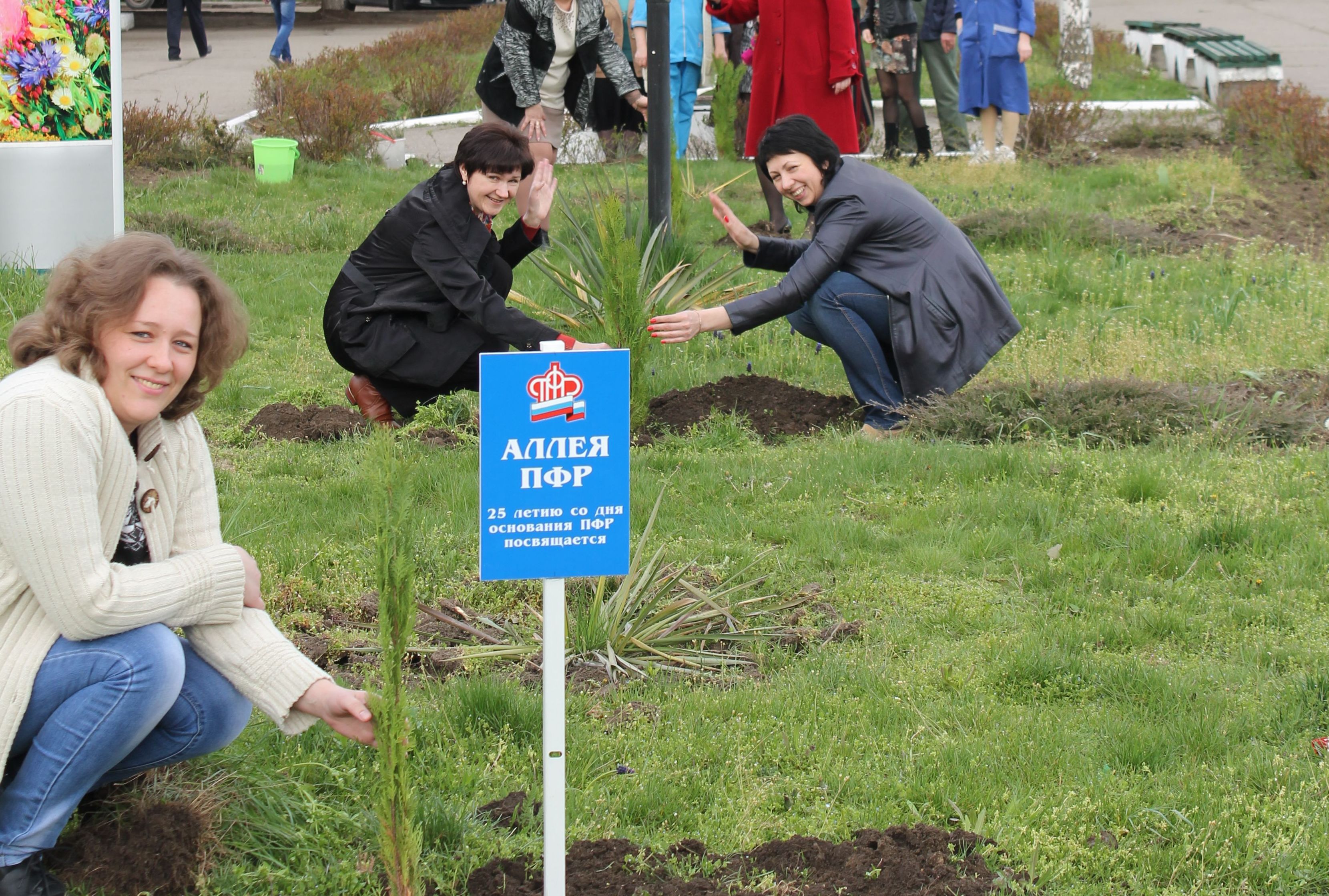 Ставрополье  украсили зеленые аллеи ПФР 