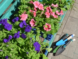 Благоустроили территорию Воронежского дома-интерната