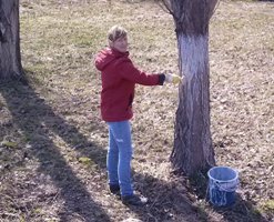 Сотрудники УПФР приняли участие в субботнике