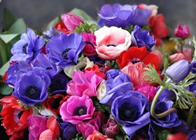 В сентябре поздравления Президента получат 374 жителя Воронежской области