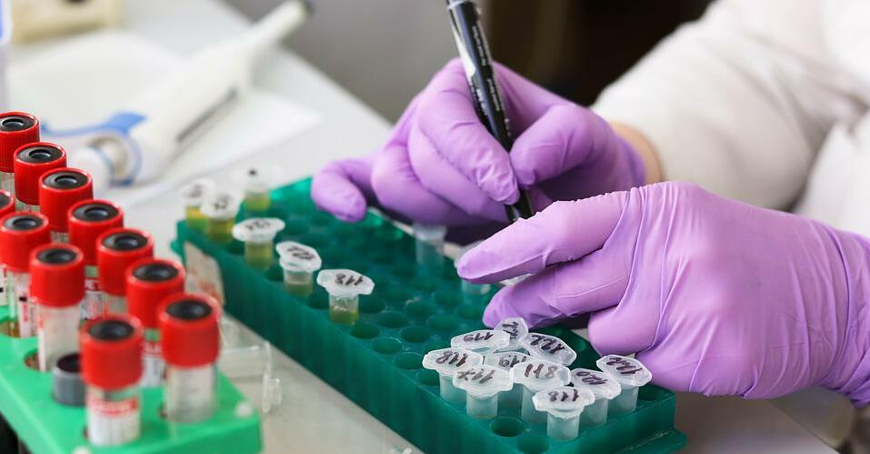 Ученые призвали создать программу импортозамещения в области медицинских препаратов